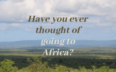 Have You Ever Thought Of Going To Africa? 🦁